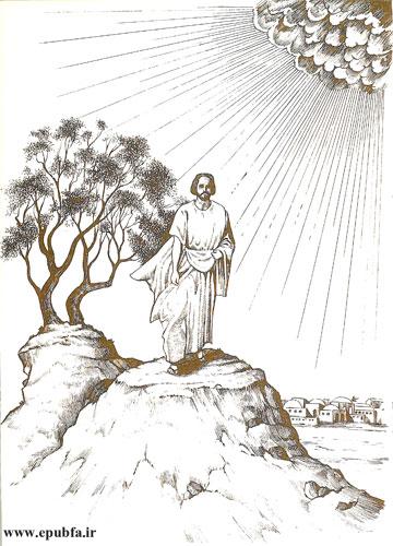 این درخت پرشکوه زیتون عیسی را بیهراس در دامن خود جای داد